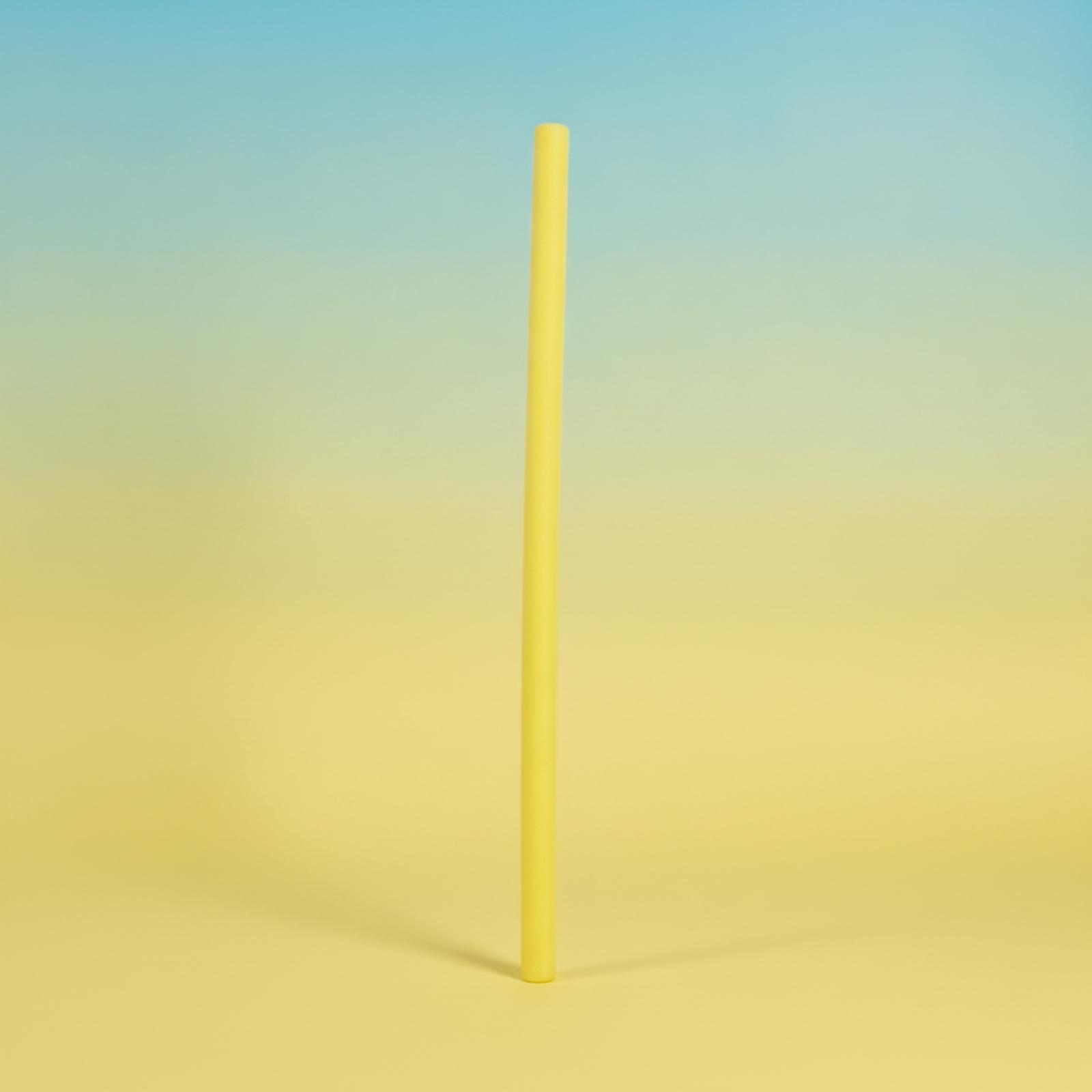 Foam Pool Noodle - Havuz Eğitim Yüzme Çubuğu Silindirik Köpük
