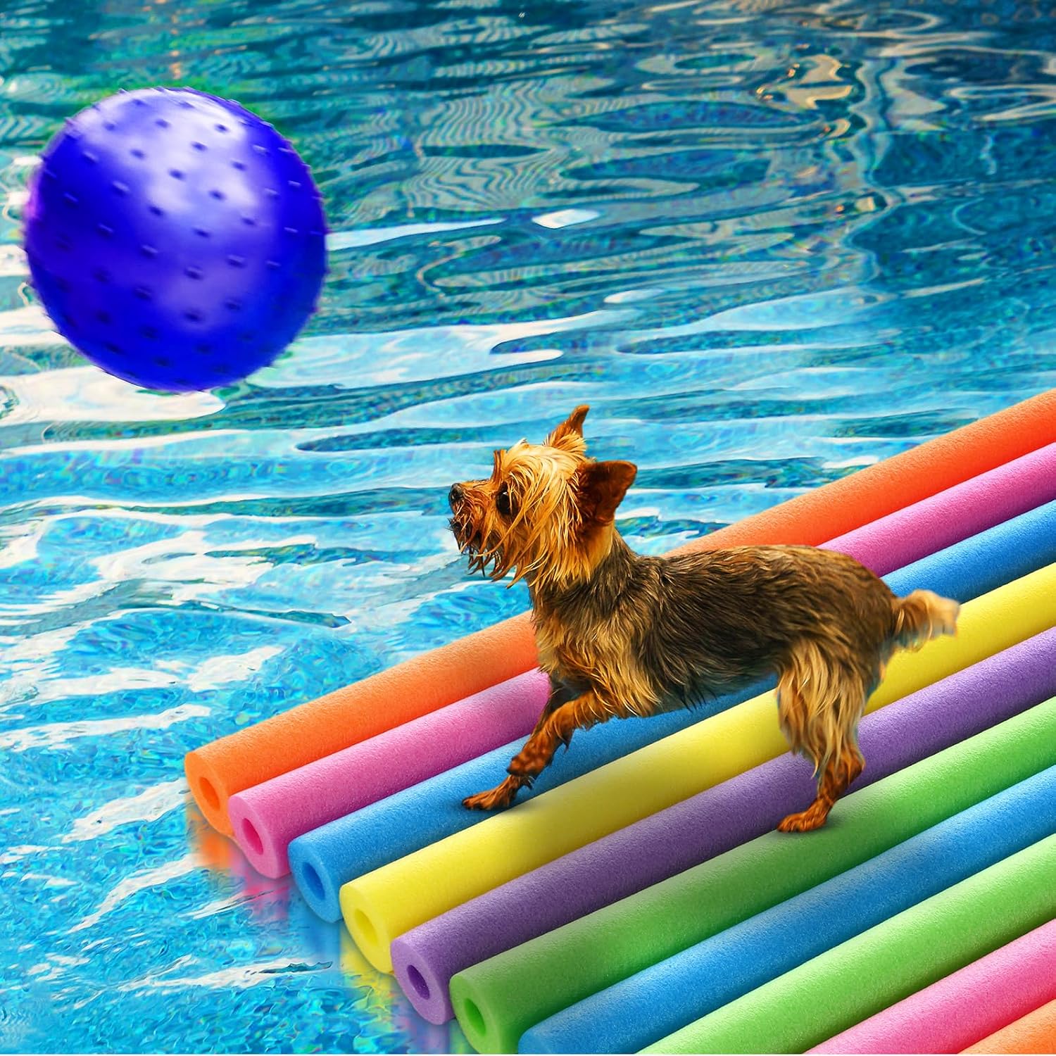 18'li Paket Havuz Şişme Sünger - Foam Pool Noodle incelemesi ve fiyatı